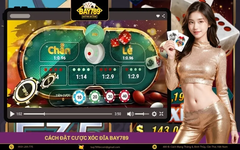 Cách Đặt Cược Xóc Đĩa Bay789